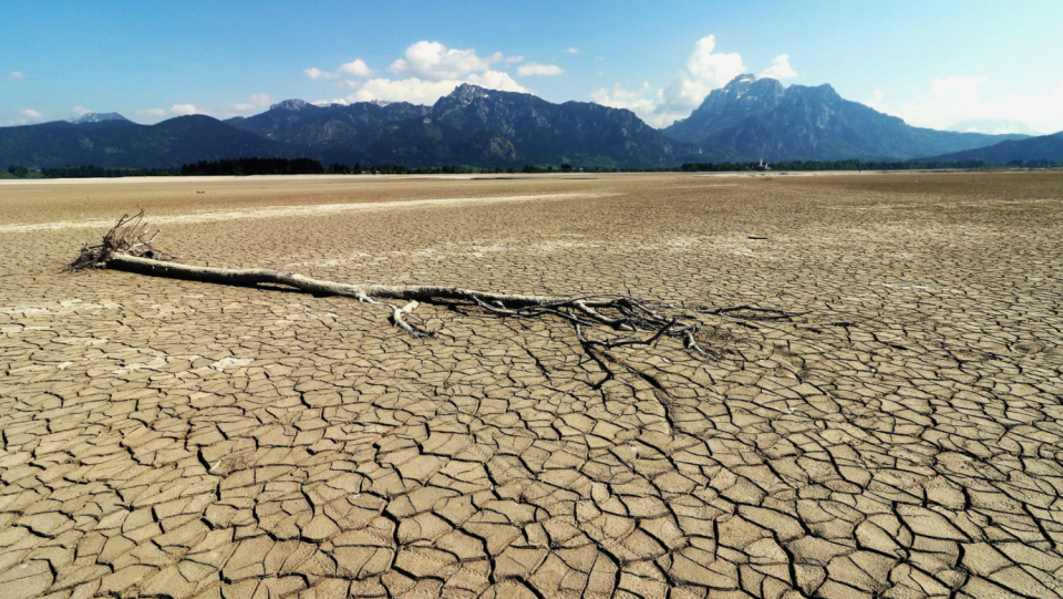 So far, Dürren has mainly appeared on the African continent.
 But Europe is also becoming increasingly drier.
 A large part of the world's population could be affected by 2050.