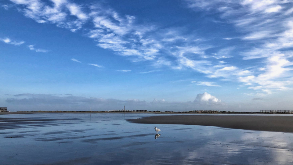 Forest bathing was yesterday. New research shows that a stay by the water relaxes us even more – be it the coast, a river or the fountain in the park.