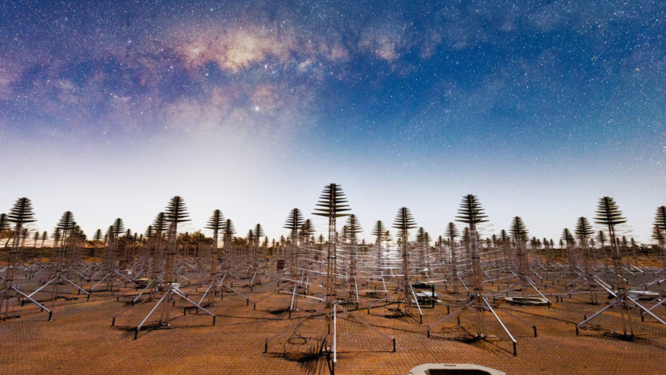 In Australia and South Africa, a gigantic network of a few hundred thousand antennas is being built. Scientists want to research the greatest puzzles in the universe.