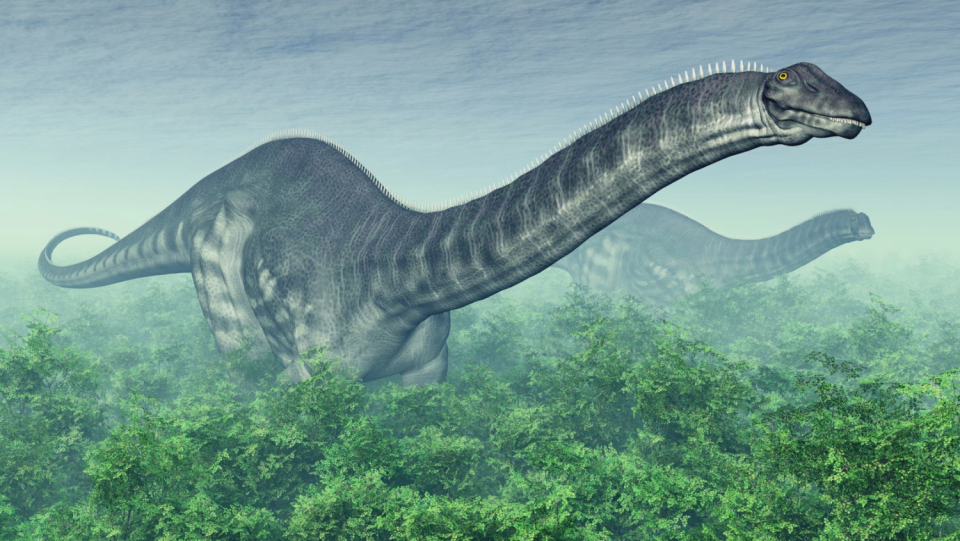 In the Cretaceous, even 20-toners had to fear predators. They fought back with firm cock strokes. But her stroke was slower than expected.