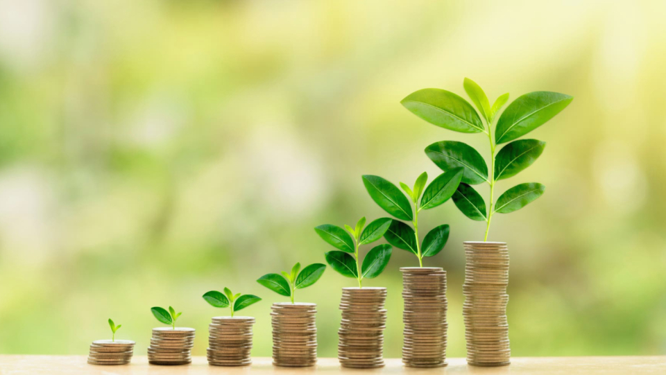It is hailed as the royal road out of the climate crisis. But green growth would require decoupling resource consumption and economic output. Scientists have doubts about this idea.