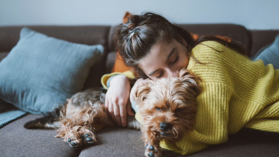 Apparently, genetic changes caused dogs to be able to form a social bond with humans. A stress hormone played a decisive role in this.