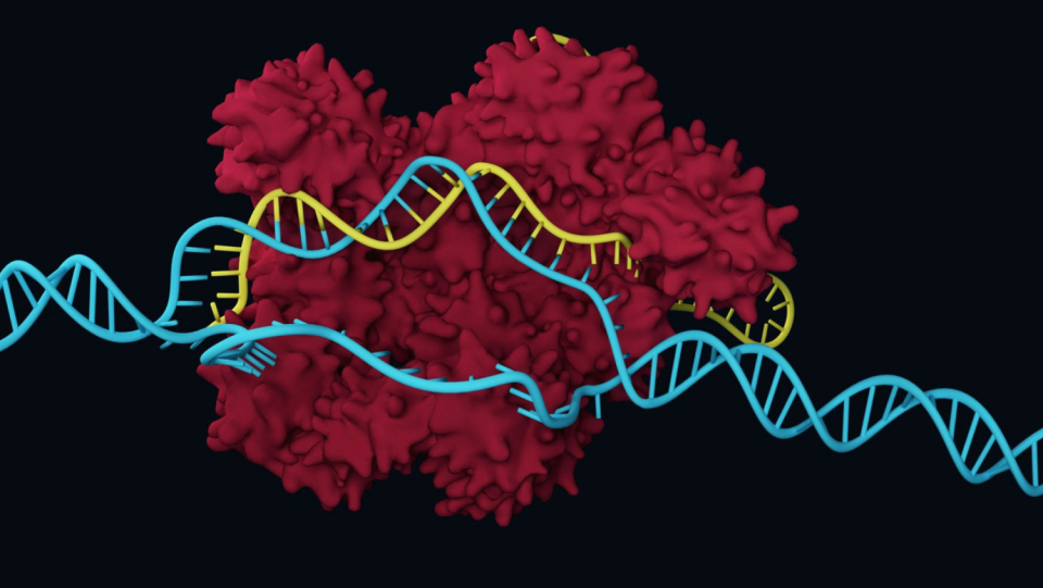 Ten years after the discovery of CRISPR/Cas9, the first gene therapies are coming to the clinic. Expectations are high, as are the hurdles. The most difficult discussion is still to come.