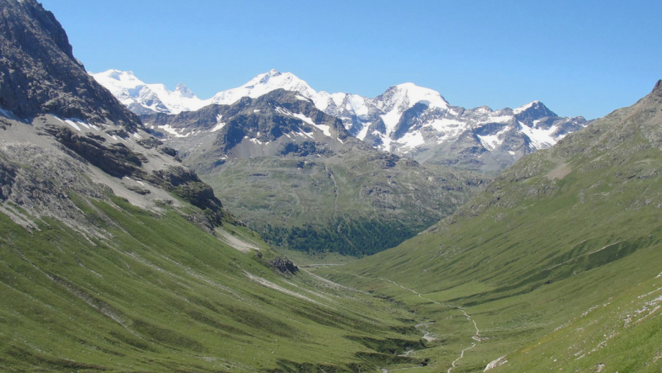 Satellite shots show that the snow withdraws in the Alps, the vegetation spreads out.
 This is serious for the ecosystems there.