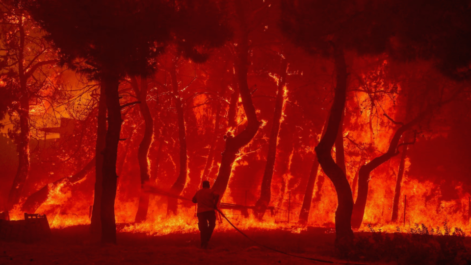 Fires break out again and again in the Mediterranean area. But in the meantime it is burning more often, on a larger scale and more dangerous. Climate change and changing land use are to blame.