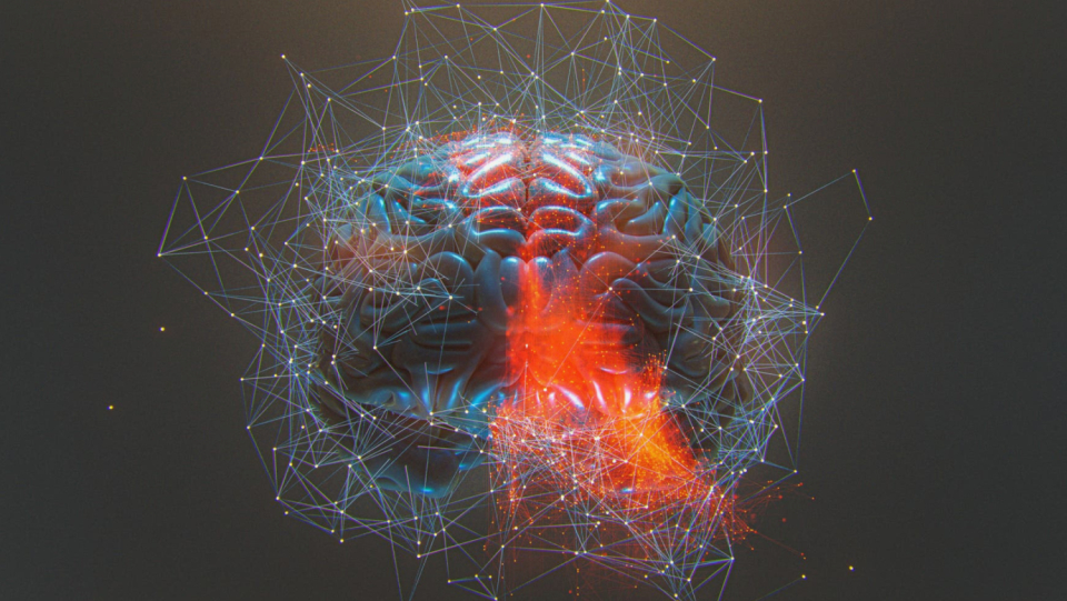The temperature in the brain fluctuates strongly during a day.
 If this daily rhythm is missing after a traumatic brain trauma, this is a bad sign.