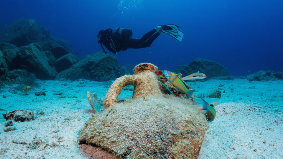 For a long time, old shipwrecks were interested in archaeologically.
 But her true treasure is its meaning for the underwater world.