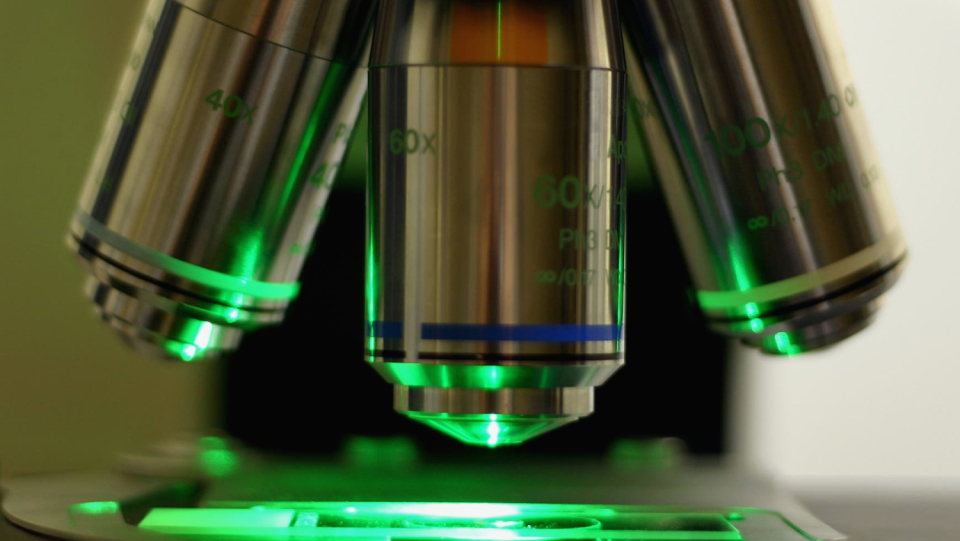 What would science be without microscopes? A new era of research has started through fluorescence microscopy. About dark cellars, donuts and a Nobel laureate, which continues to move the boundaries of the visible.