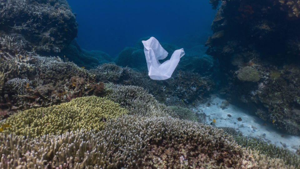 He has to go somewhere: our plastic waste. Surprisingly, a lot of it accumulates in deep-sea trenches and pollutes the soil there.
