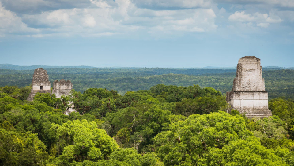 For the Maya, tinberrot and other pigments were far more significant than colors.
But using them came at a high cost.