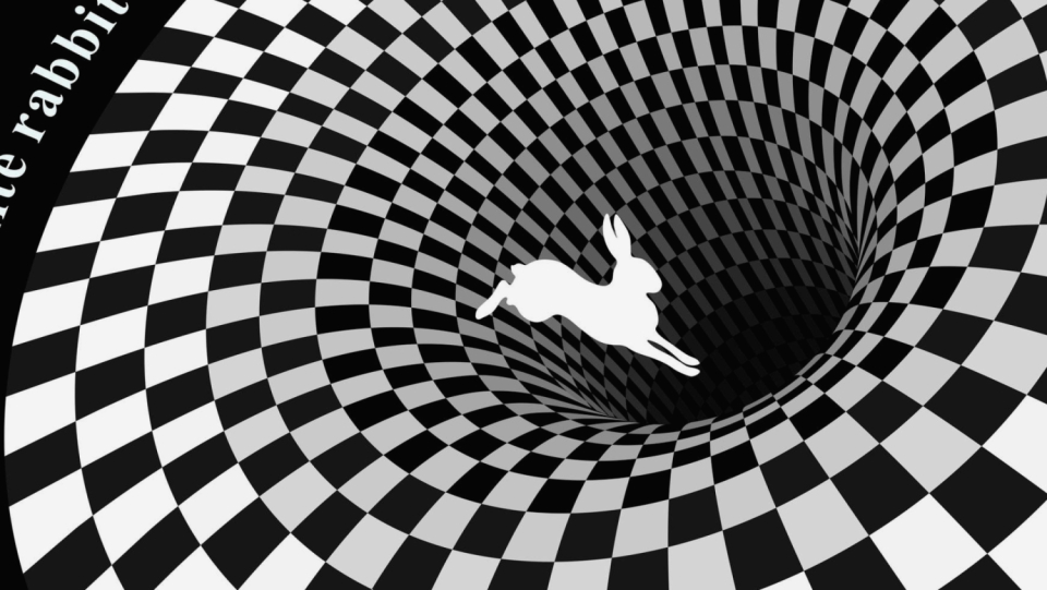 The children's book "Alice in Wonderland" has a lot of wisdom at hand. A well-known scene serves psychologists as a metaphor for how people are sinking deeper and deeper into the world of conspiracy theories.
