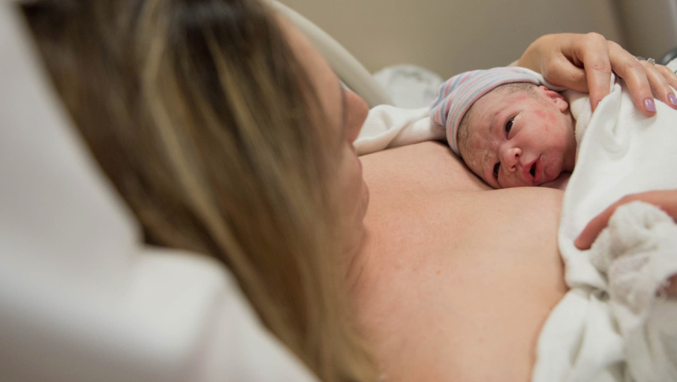 Can microorganisms already settle on the skin and mucous membranes of the unborn in the womb? An international research team comes to a clear conclusion.