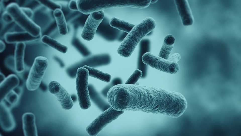 Meanwhile, many antibiotics are ineffective. New means are needed to fight bacteria. Now two substances have been discovered that act against gram-positive strains.