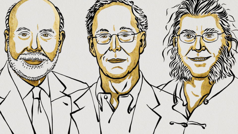 The annual conclusion of the Nobel Prize announcements is the Nobel Prize in Economics. Three US economists are being honoured for their research on banks and financial crises.