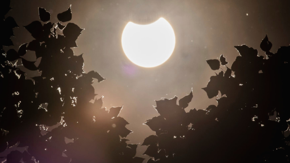 For about two hours on October 25, the sun darkens in the middle of the day – at least partially. Can researchers also learn something about our star in the process?