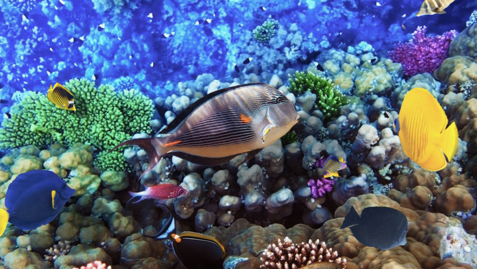 The 15th Biodiversity Conference will open in Montreal, Canada, on Tuesday evening. The talks will focus on the goal of protecting 30 percent of the land and sea area. Governments, environmental associations and science support the project – but the devil is in the details.