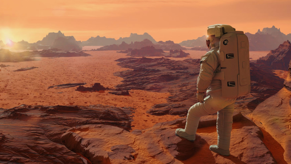 Was or exists on Mars? The Rover