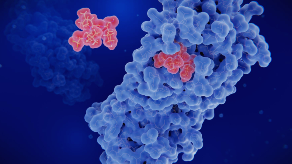 Free radicals trigger a newly discovered switch in the virus protease. The modification might change how the protein works and open the door to new antiviral tactics.