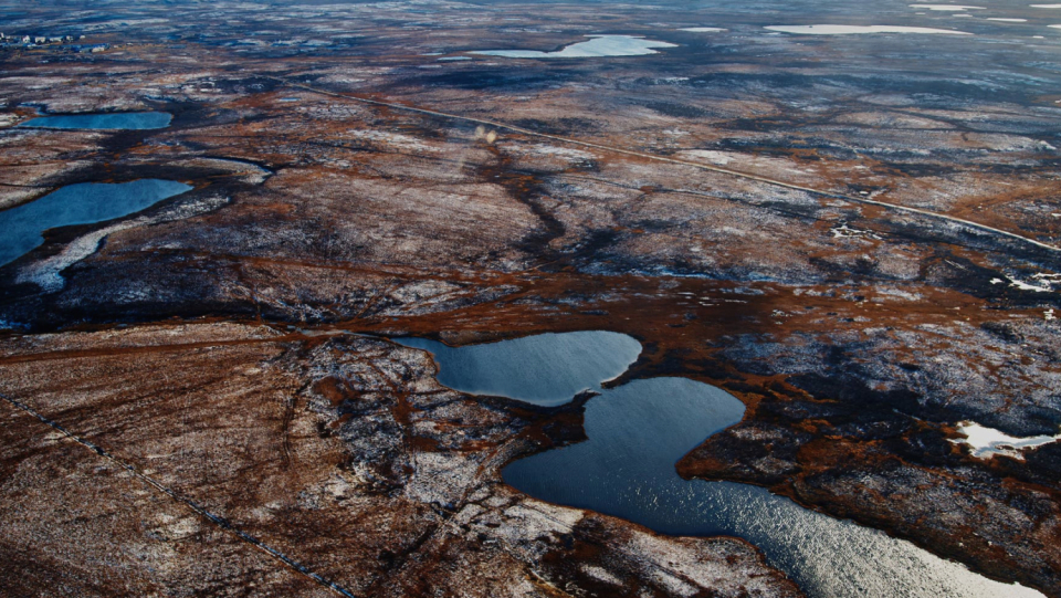 Due to global warming, the larch forests in northeastern Russia are spreading further and further north. As a result, the Siberian tundra could shrink to six percent of its surface area by the middle of the millennium. Even with rigorous climate protection measures, things look bleak, as one model shows.