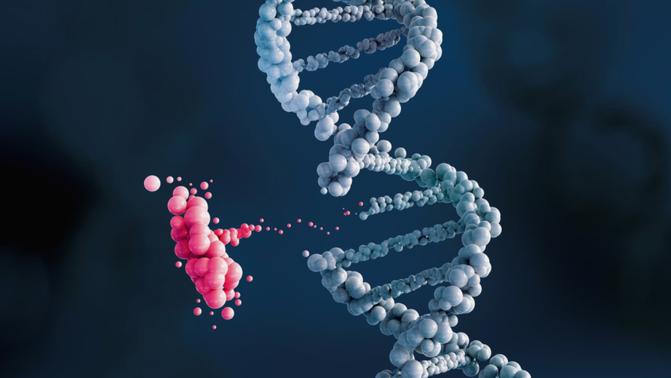 Genetic studies on yeast cultures question a basic assumption of mutations and evolution.
 The problem: There are also many important analysis techniques based on this.
