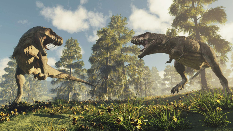 Judging by the size of the skull, the eyes of the famous dinosaur were amazingly small. Probably, this allowed him to bite with titanic force.