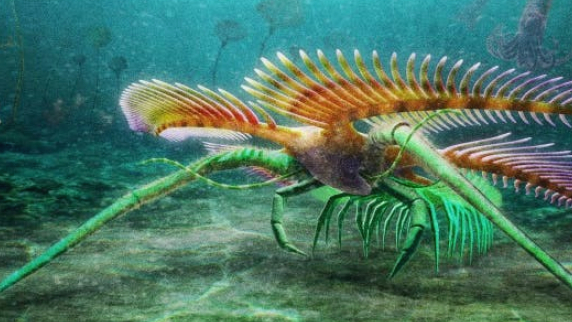 It lived 450 million years ago, an unusual arthropod. Due to its wealth, the location was also known as Paleo-Pompeii, where its well-preserved fossil was found.