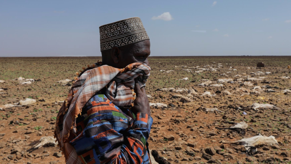 Kenya, Ethiopia and Somalia are experiencing the worst drought in 40 years. Cattle are dying, people are starving. Agricultural economist Timothy Njagi explains in an interview how Europe can help prevent future crises.
