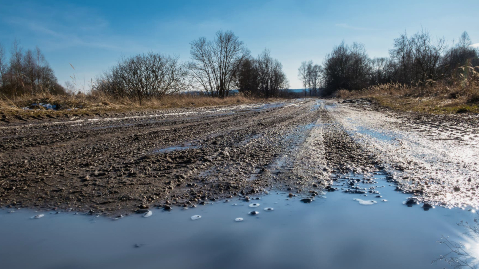 The record heat at the beginning of the year shows that winter is no longer what it was. But animals and plants are adapted to the cold season. Now entire ecosystems are messed up.