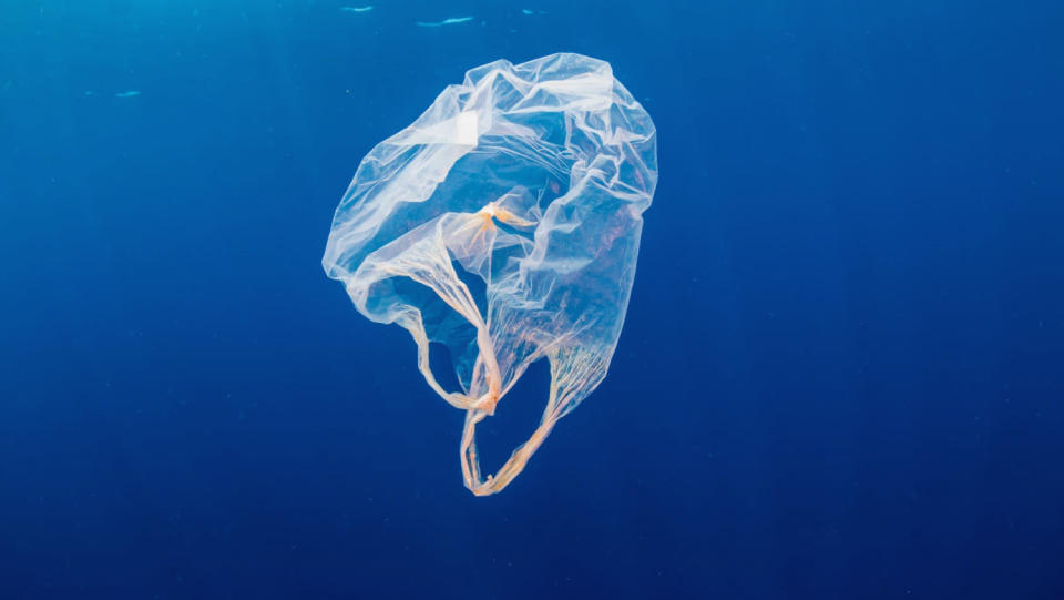 In addition to being made from living things, bioplastics ought to break down as rapidly as possible into compost and the environment. This is not very effective, but it might be altered.