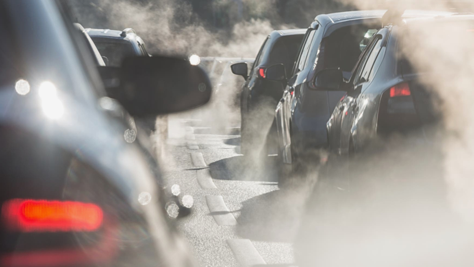 Pollutants in the air put stress on the lungs and reduce oxygenation.
To function at its best, the brain requires it.
Yet, even without causing lung injury, ultra-fine dust particles can still impair thinking because they enter the brain through the bloodstream.