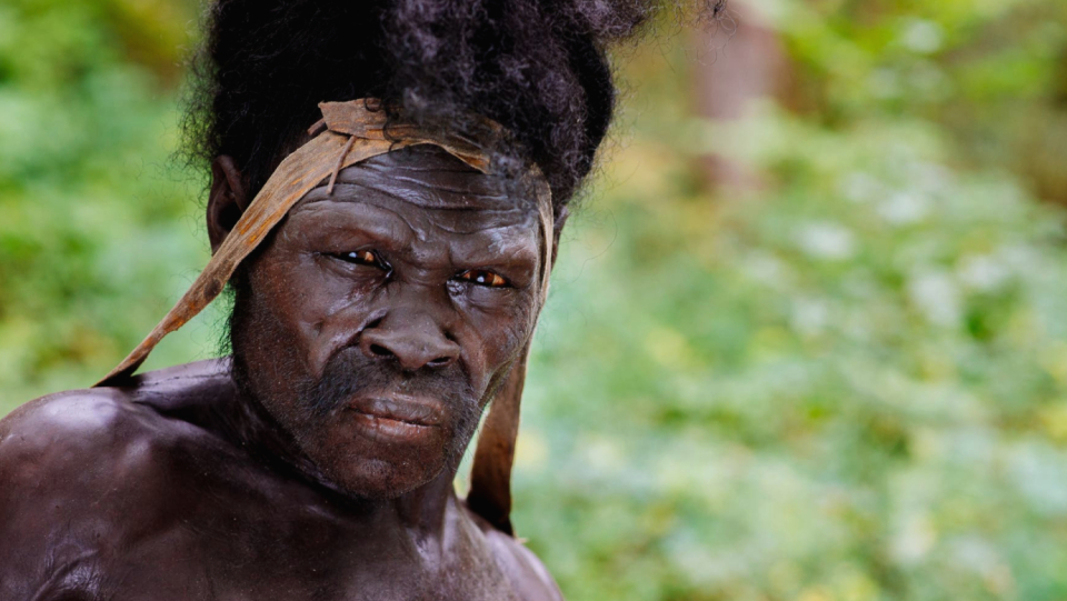 Homo erectus arrived on Earth two million years ago, followed by other early human species. Most likely, climate change was a significant factor in this.