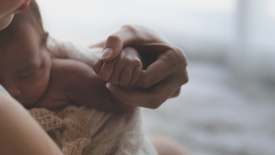 It makes the assertion that a corona immunization could lead someone to become inadvertently childless. But the assertion is untrue. There is no proof that fertility has decreased.