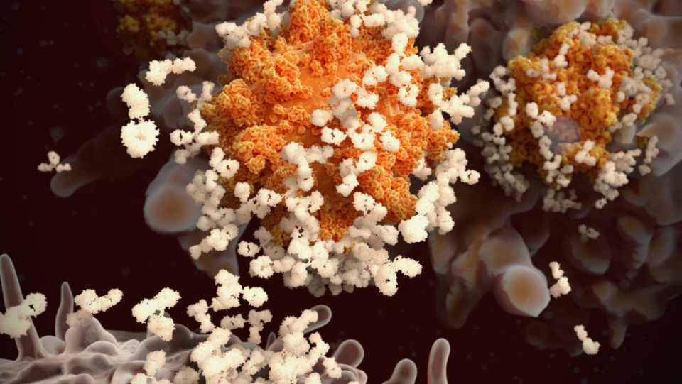 It appears that becoming well and receiving vaccinations bestows a super-immunity that should even guard against future mutations. How do we ensure that everyone is protected equally?