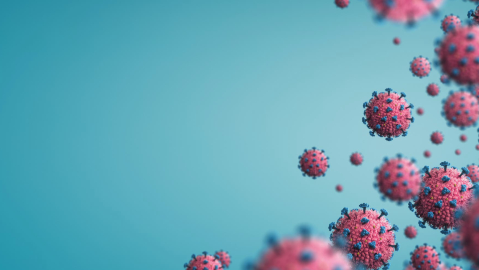 Ivermectin, a drug for treating worms, was regarded as a potential panacea even though it is not approved as a treatment for Covid-19. Ivermectin, however, does not aid, as demonstrated by a placebo-controlled study.