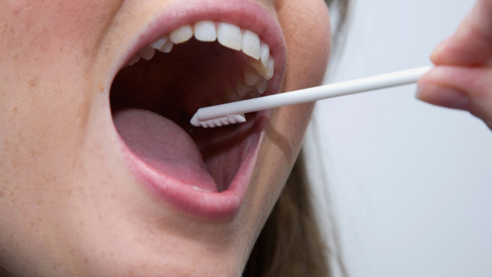 Bacteria in the mouth - Igitt, just away with it?
That was for a long time.
We require the microorganisms to maintain our health, according to recent studies.