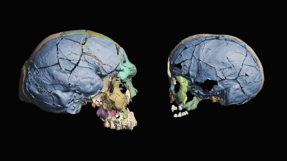 The skull of the early Homo sapiens was shaped differently than the head of today's people.
Consequently, the brain ought to be different.
However, this most likely does not apply.