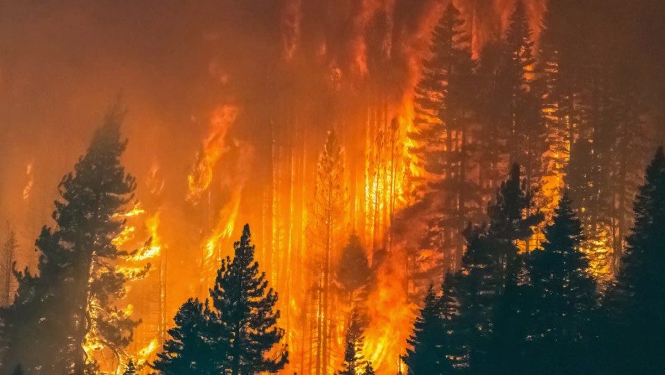 The weather can shift in the south if the ice is lacking in the north, which can also encourage huge flames. A study on the long-distance impact of Arctic sea ice makes this suggestion.