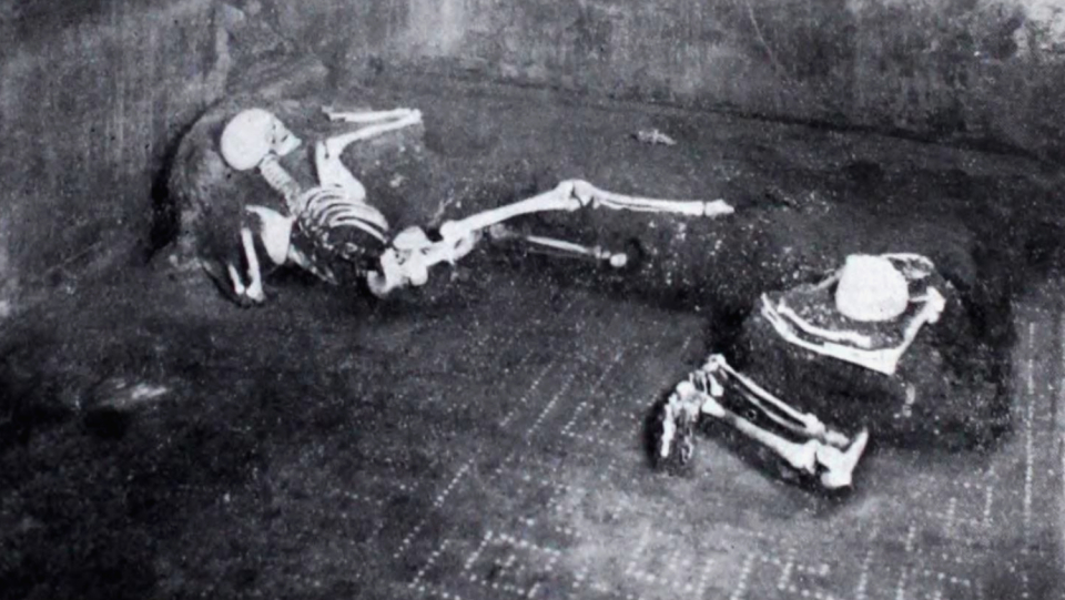High genetic diversity was present in the Roman Empire, according to the genome of a man who perished during the eruption of Vesuvius.
He also had an unauthorized visitor, though.