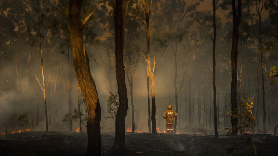 Each year, it is estimated that early deaths are brought on by forest fire smoke.
What affects the body does the smoke have?
Can something be said in opposition to it?