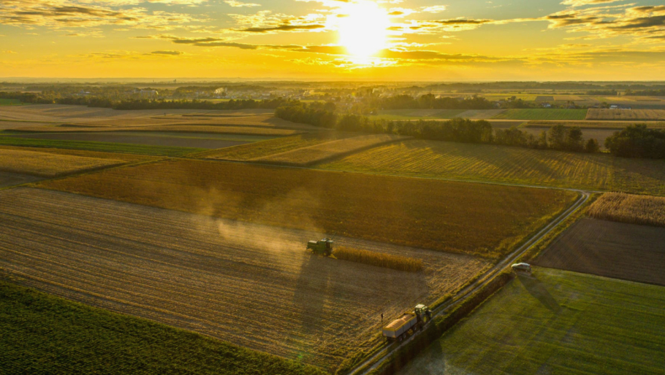 Technically, humans have been utilizing the air's supply of nitrogen for about a century. There has likely never been as much biologically available nitrogen in the atmosphere as there is right now, with grave consequences not just for the planet's metabolism.
