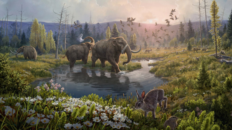 In sediments from Northern Greenland, paleogenists have found gene fragments that are two million years old.
They recreated an entire prehistoric ecosystem, including an unexpected species, using the oldest environmental DNA known to science.