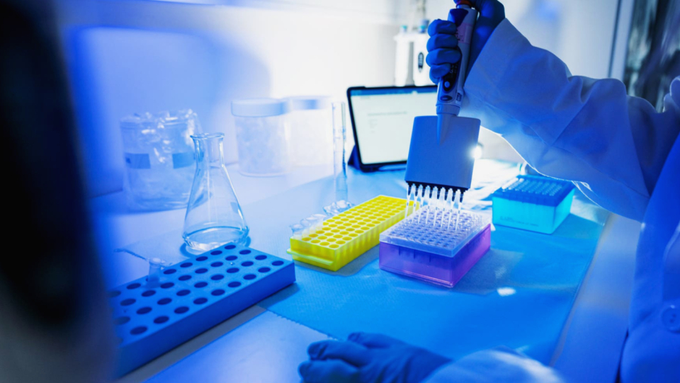 According to laboratory tests, cellular defense mechanisms are more effective than their forerunners at blocking the virus variant. Even the most significant Covid-19 medications continue to work.
