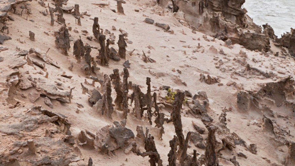 There are only a few quasicisms worldwide that have not been generated in the laboratory.
The solid, now discovered in a dune, is an exotic, even among his peers.