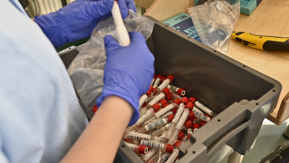 More PCR testing can be performed in Vienna than in all of Germany.
Whether "everything gurgelt!" and the benefit's actual size. Can be a role model, but experts are dessed.