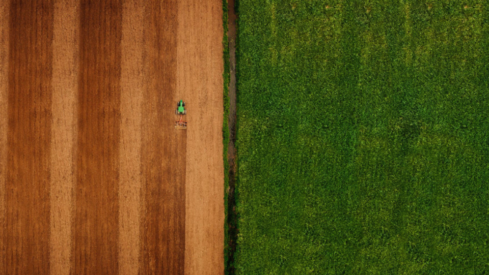 Neonicotinoids are prohibited in open spaces in the EU. However, the insecticides still cause issues. Also because the super poisons are being shipped to the global South to meet our demand for cheap meat.